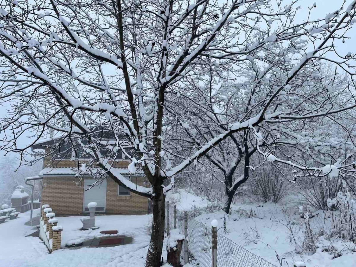 Kraljev Breg Fruska Gora Cortanovci