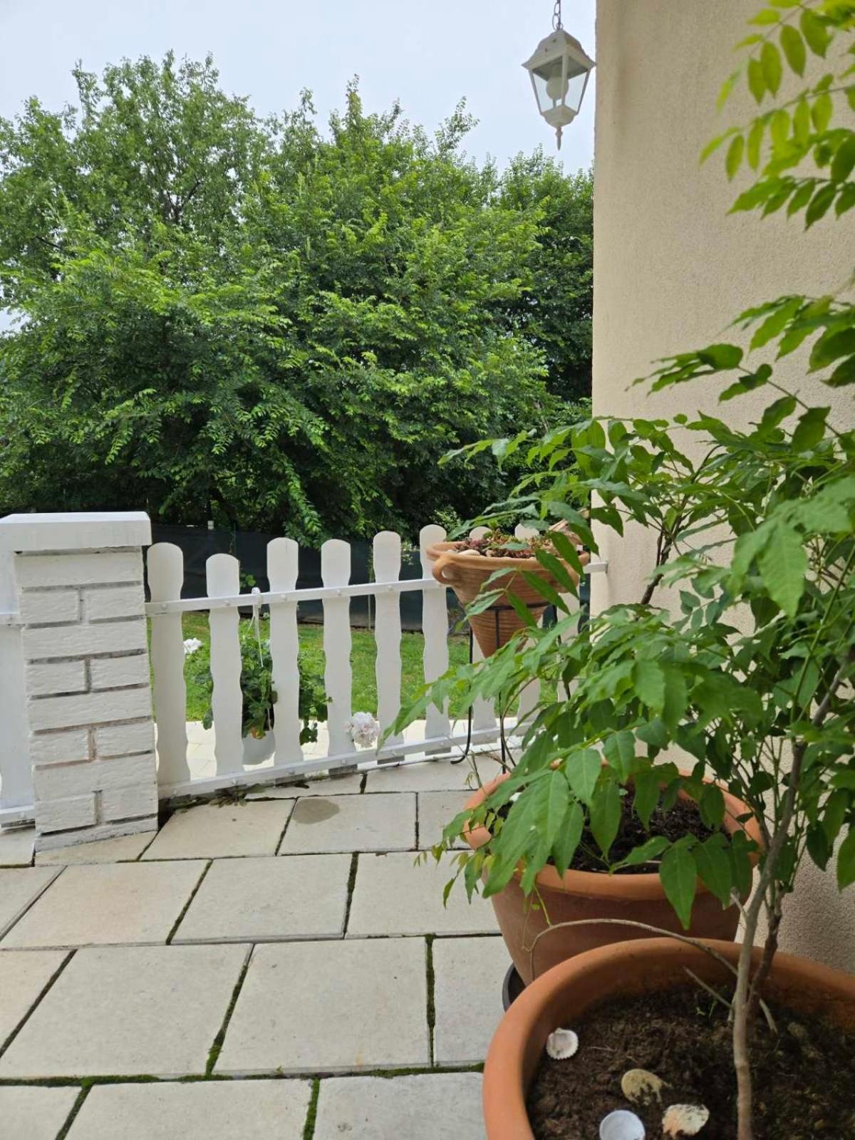 Kraljev Breg Fruska Gora *